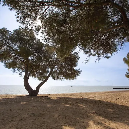 Miramar By Interhome * La Londe-les-Maures